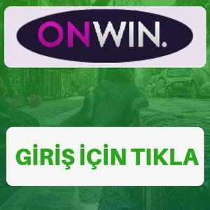 Onwin giriş